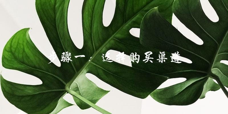 步骤一:选择购买渠道 步骤一:选择购买渠道