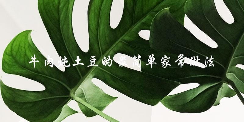 牛肉炖土豆的最简单家常做法 牛肉炖土豆的最简单家常做法