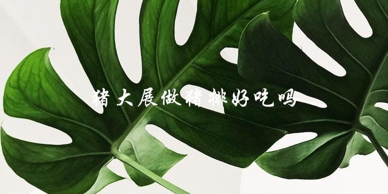 猪大展做的猪排口感如何? 猪大展做的猪排口感如何?