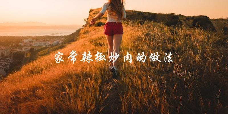 家常辣椒炒肉的做法 家常辣椒炒肉的做法