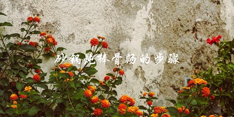 砂锅炖棒骨汤的步骤 砂锅炖棒骨汤的步骤