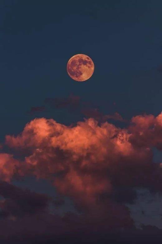 本年除夕夜祝福语
