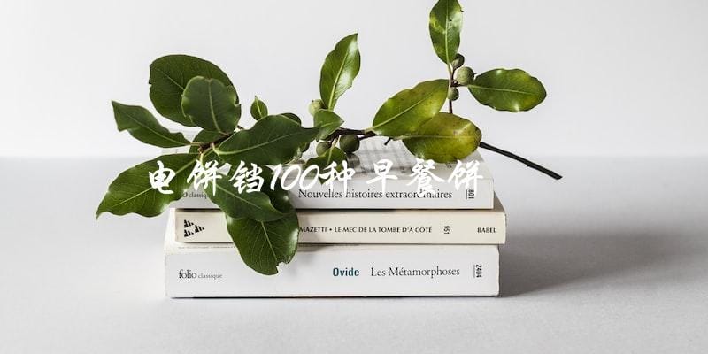 享受美味早餐,尝试100种电饼铛饼的做法! 享受美味早餐,尝试100种电饼铛饼的做法!