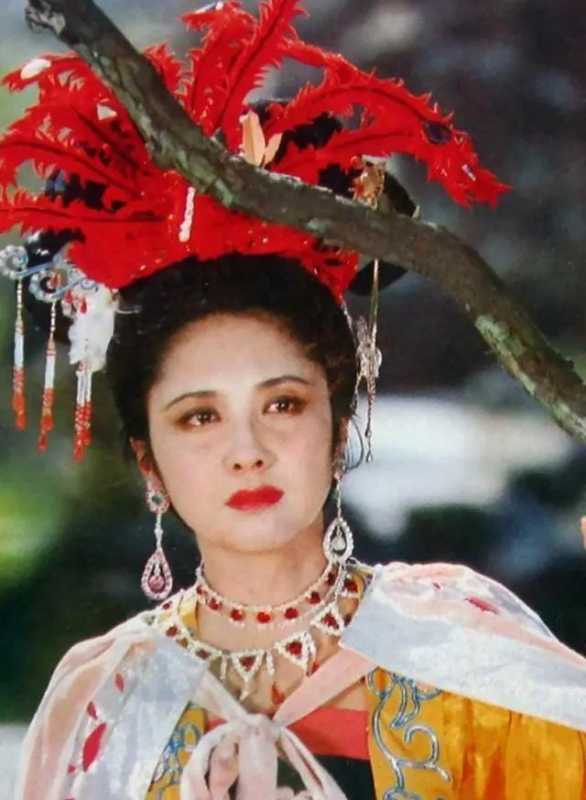 朱琳与徐少华20年再聚首（徐少华朱琳见面哭了）(图22)