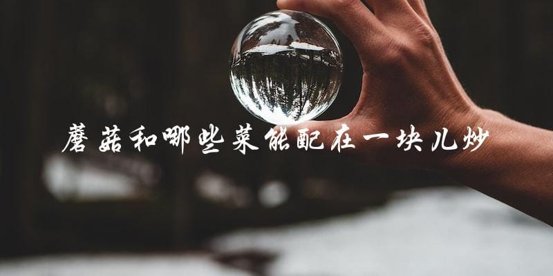 蘑菇炒菜大全:这些菜和蘑菇搭配最好! 蘑菇炒菜大全:这些菜和蘑菇搭配最好!