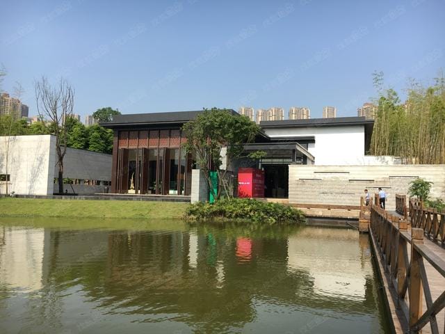 重庆最顶级别墅（重庆十大豪宅排名榜）(图3)