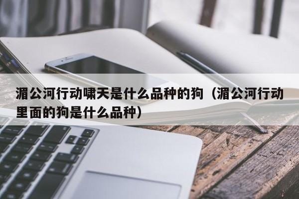 湄公河行动啸天是什么品种的狗(湄公河行动里面的狗是什么品种) 湄公河行动啸天是什么品种的狗(湄公河行动里面的狗是什么品种)