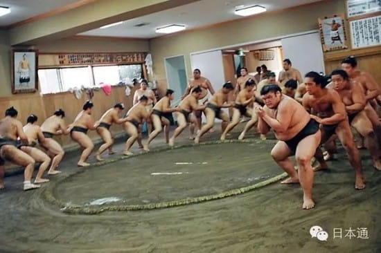 李连杰被日本相扑摔倒事件(日本相扑运动员死亡)