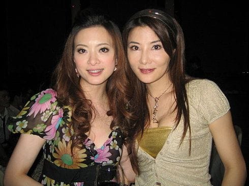 杨丽菁老公，陈慧琳和杨丽菁长得很像,本文共（1219字）