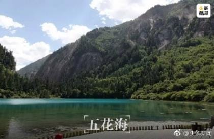 形容桃花的句子一年级