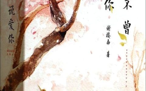 不敢说爱你(不敢说爱你只好藏心底原唱) 不敢说爱你(不敢说爱你只好藏心底原唱)