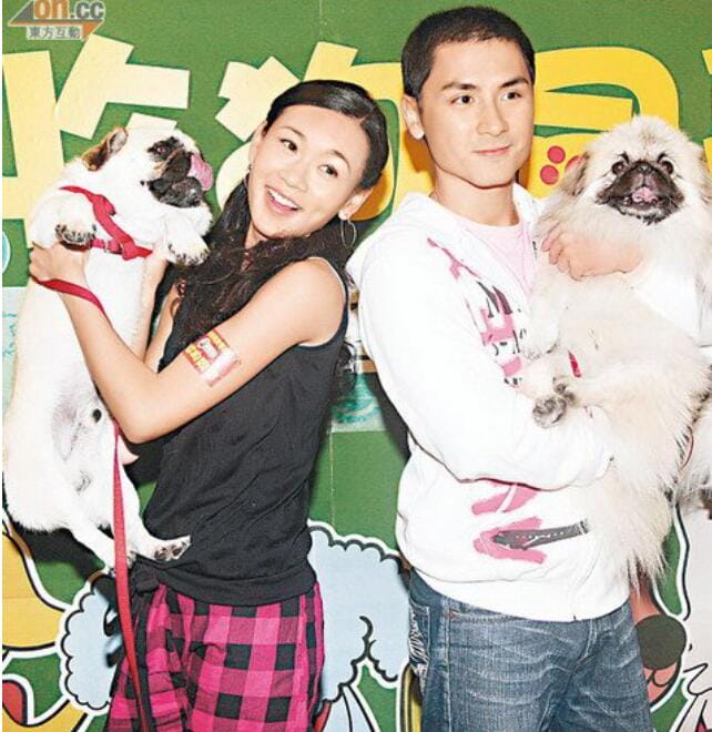 杨思琦为什么不打掉孩子选择做单亲妈妈 杨思琦为什么不打掉孩子选择做单亲妈妈