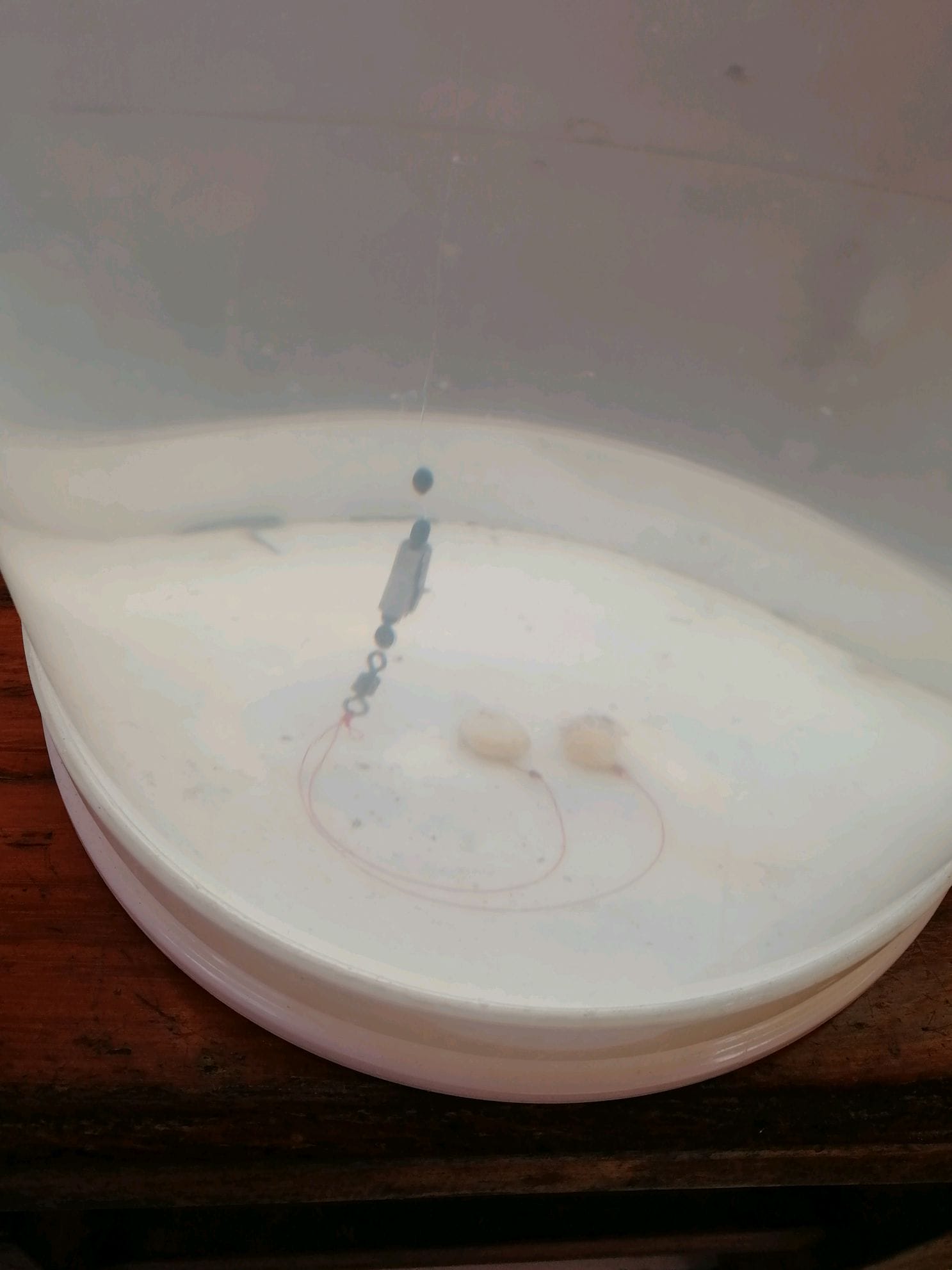 悬坠调漂法视频教程(浮漂怎么调教程)(图6) 悬坠调漂法视频教程(浮漂怎么调教程)(图6)