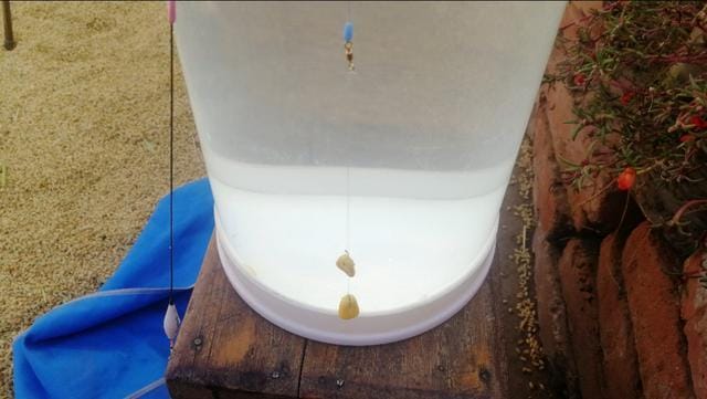 悬坠调漂法视频教程(浮漂怎么调教程)(图3) 悬坠调漂法视频教程(浮漂怎么调教程)(图3)