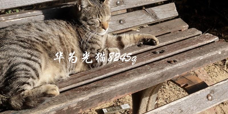 你知道华为光猫8245q的特点和使用方法吗? 你知道华为光猫8245q的特点和使用方法吗?