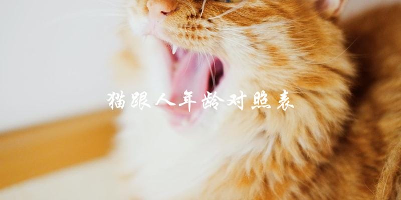 猫和人的年龄有什么对照表? 猫和人的年龄有什么对照表?