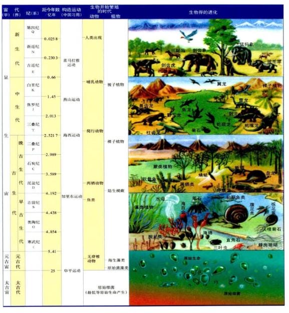 地质年代表口诀记忆法（地质年代表口诀及解释）(图1)