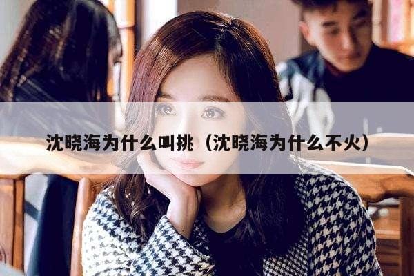 沈晓海为什么叫挑(沈晓海为什么不火) 沈晓海为什么叫挑(沈晓海为什么不火)