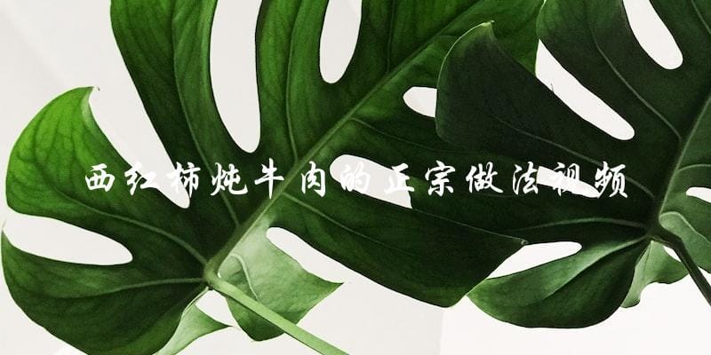 学习正宗西红柿炖牛肉的视频教程! 学习正宗西红柿炖牛肉的视频教程!