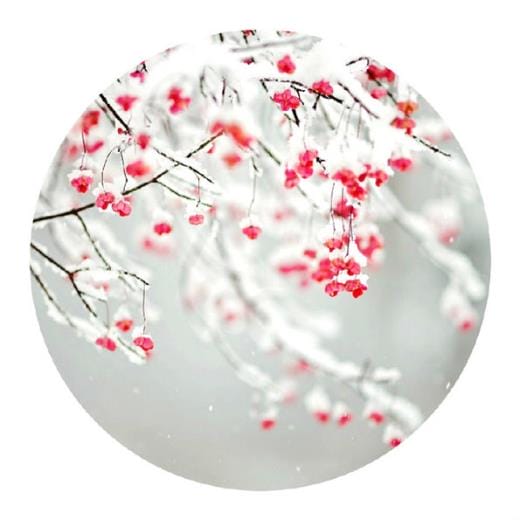 微信朋友圈广告投放