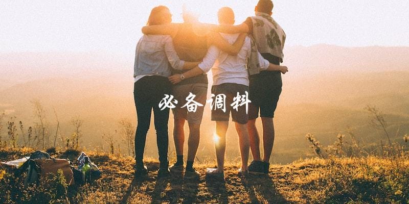 必备调料 必备调料