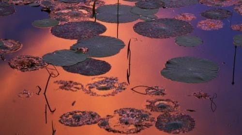 朋友圈说说的好句子男