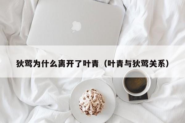 狄莺为什么离开了叶青(叶青与狄莺关系) 狄莺为什么离开了叶青(叶青与狄莺关系)
