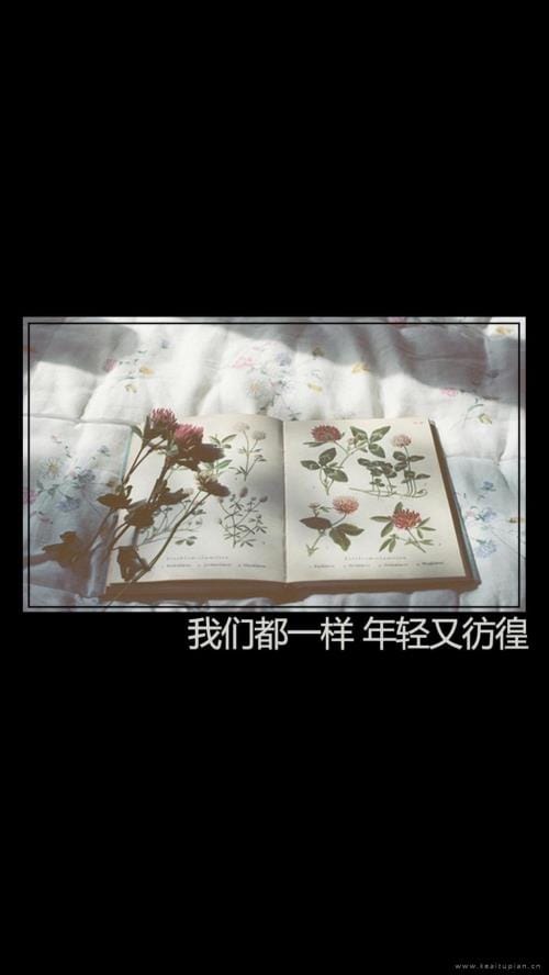努力赚钱的经典语录