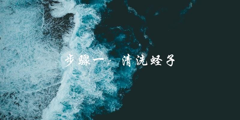 步骤一：清洗蛏子