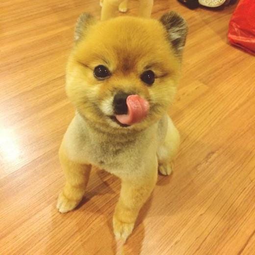 幼儿的心愿语句怎么写