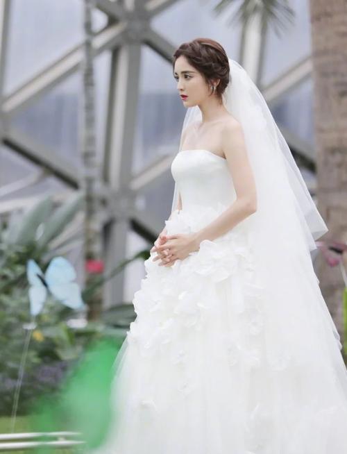 明星婚纱照,女明星婚纱造型(婚纱照明星图片) 明星婚纱照,女明星婚纱造型(婚纱照明星图片)