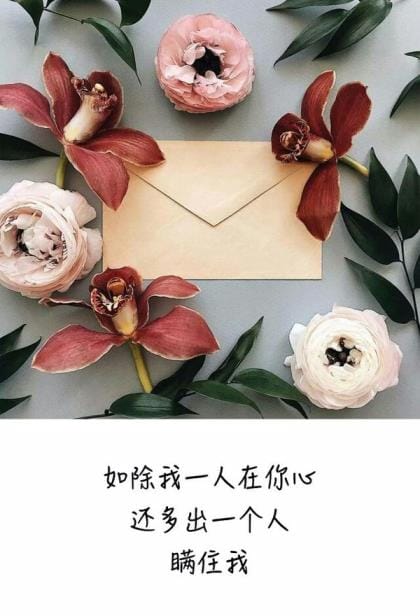 发朋友圈描写夏天荷塘的句子