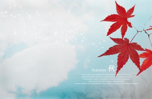 个性说说爱情短语10字