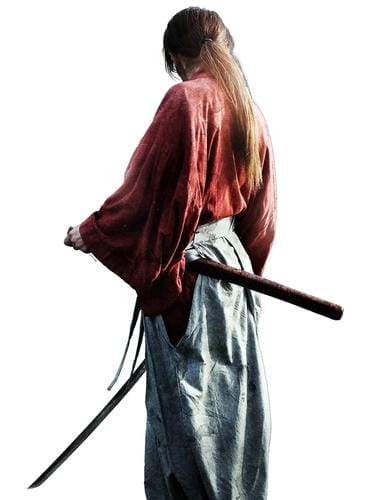 浪客剑心 京都大火篇，《浪客剑心2》电影版(专访)