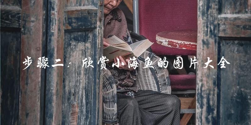 步骤二:欣赏小海鱼的图片大全 步骤二:欣赏小海鱼的图片大全