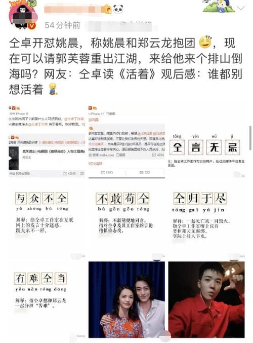 恶之花姚晨是什么意思,恶之花 姚 恶之花姚晨是什么意思,恶之花 姚
