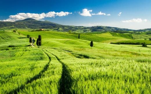 企业文化标语8个字
