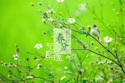 烽火戏诸侯经典霸气句子