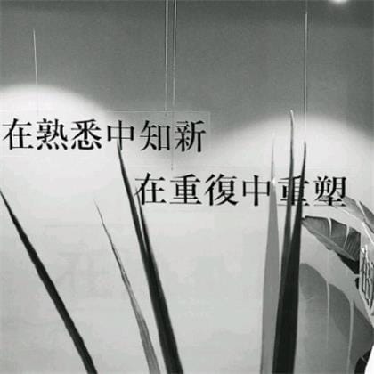 qq空间说说点赞