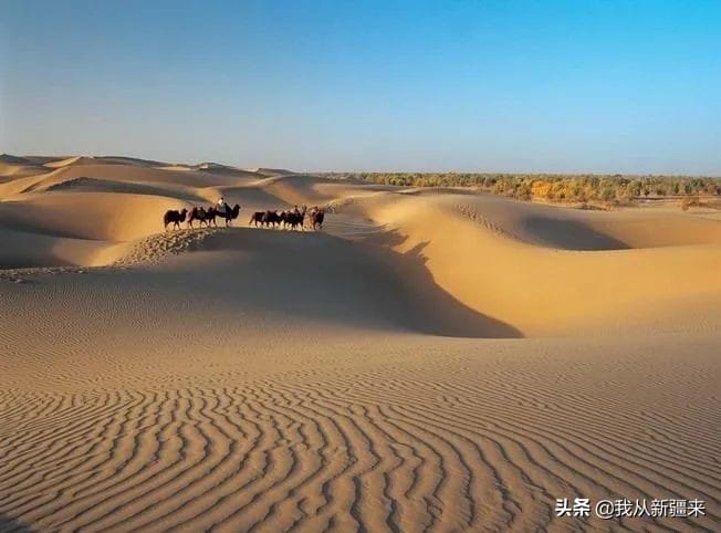 新疆的几大沙漠（新疆的沙漠有哪些）(图8)