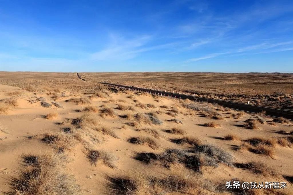 新疆的几大沙漠（新疆的沙漠有哪些）(图10)