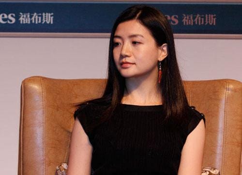 云峰基金(分析) 云峰基金(分析)