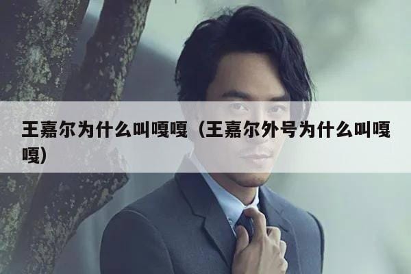 王嘉尔为什么叫嘎嘎(王嘉尔外号为什么叫嘎嘎) 王嘉尔为什么叫嘎嘎(王嘉尔外号为什么叫嘎嘎)