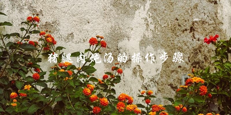 猪腿肉炖汤的操作步骤 猪腿肉炖汤的操作步骤