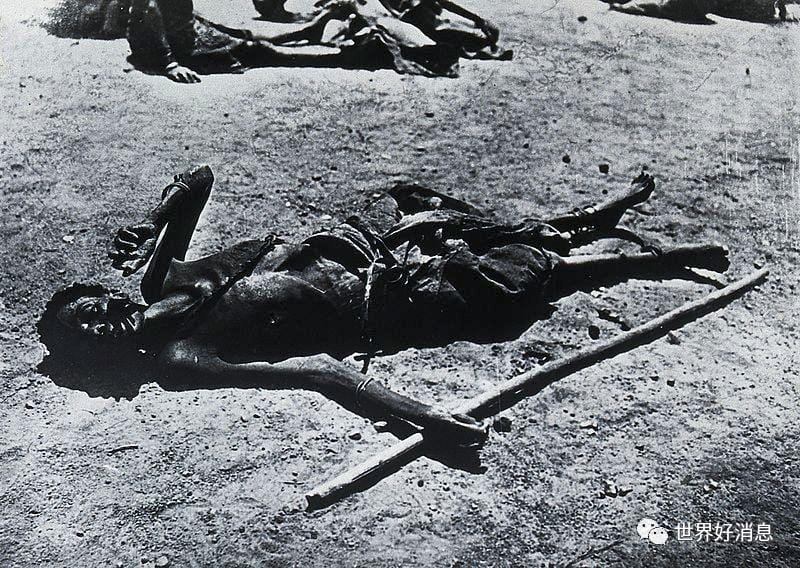 僵尸真实存在事件(历史上全球各地真实僵尸事件有哪些)(图4) 僵尸真实存在事件(历史上全球各地真实僵尸事件有哪些)(图4)