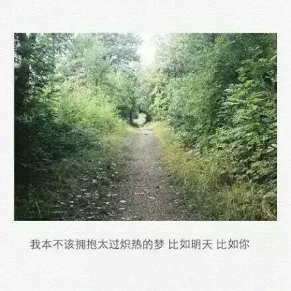早上伤感语录发朋友圈