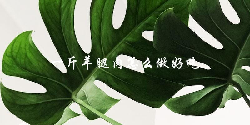 如何让一斤羊腿肉变得美味可口? 如何让一斤羊腿肉变得美味可口?