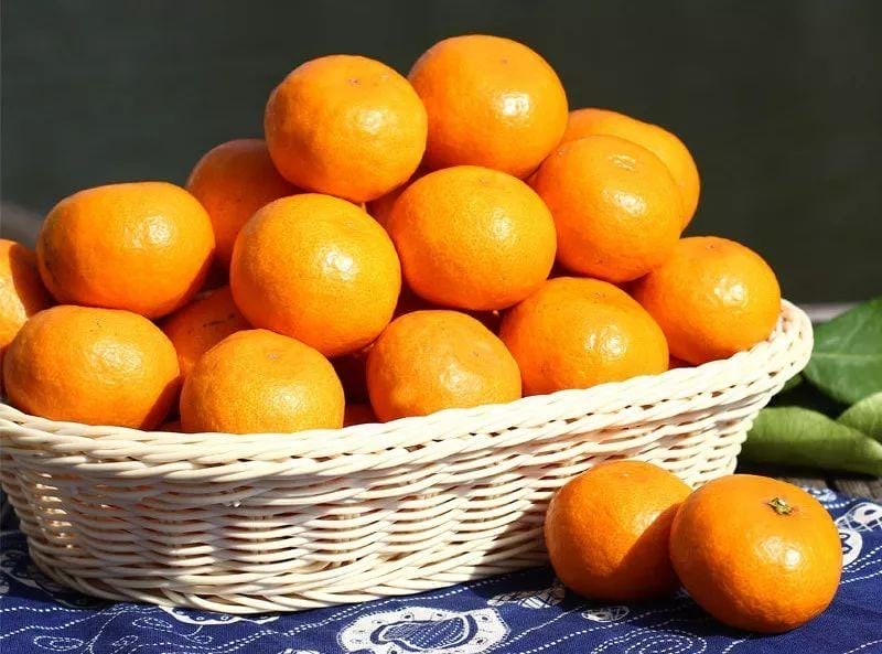 小橘子的品种有哪些（小橘子叫什么名字）(图3)