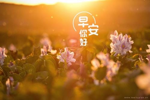 唯美句子励志青春短句