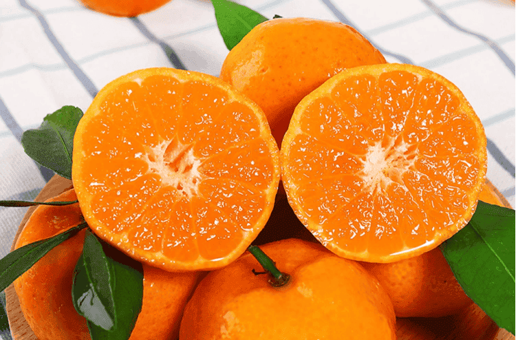 小橘子的品种有哪些（小橘子叫什么名字）(图1)